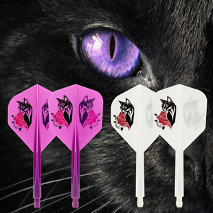 CONDOR FLIGHT : BLACK CAT